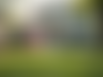 Government Shutdown and Economic Slowdown How Chapter 13 Bankruptcy Can Save Your Home from Foreclosure