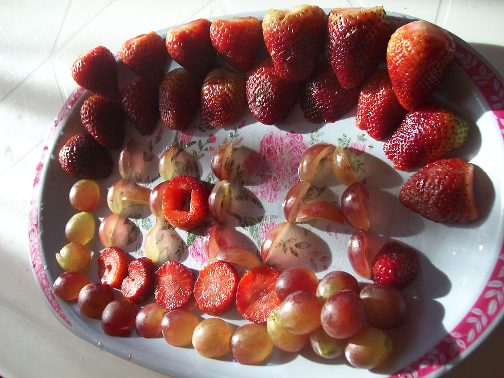 Fotos de nuestros visitantes