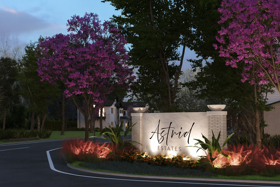 Atlanta Architect, development, neighborhood, Georgia Architect