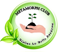 Metamorph Club