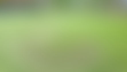 Problems with Artificial Grass