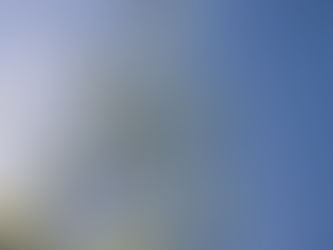 Finding Beauty in the Everyday: A Look Upward