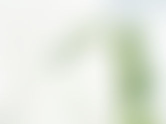 Embracing Nature: How Digital Collage Bridges the Gap Between Body and Environment