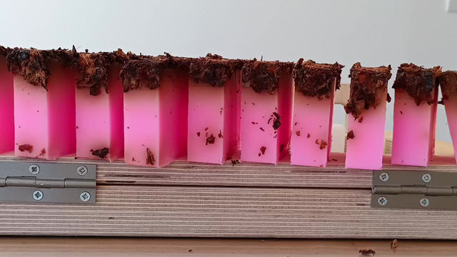 Miniature : La vie en rose 