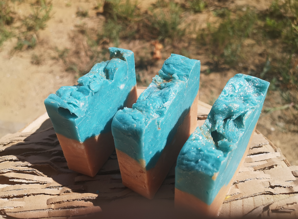 Thumbnail: The ephemeral "Beach dream"