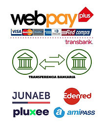 Medios de pago Webpay Junaeb pluxee edenred amipass transferencia