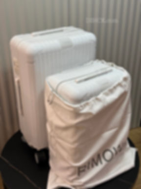 DSHCK Travel set:Rimowa Essential White Check-in M +Cabin 
