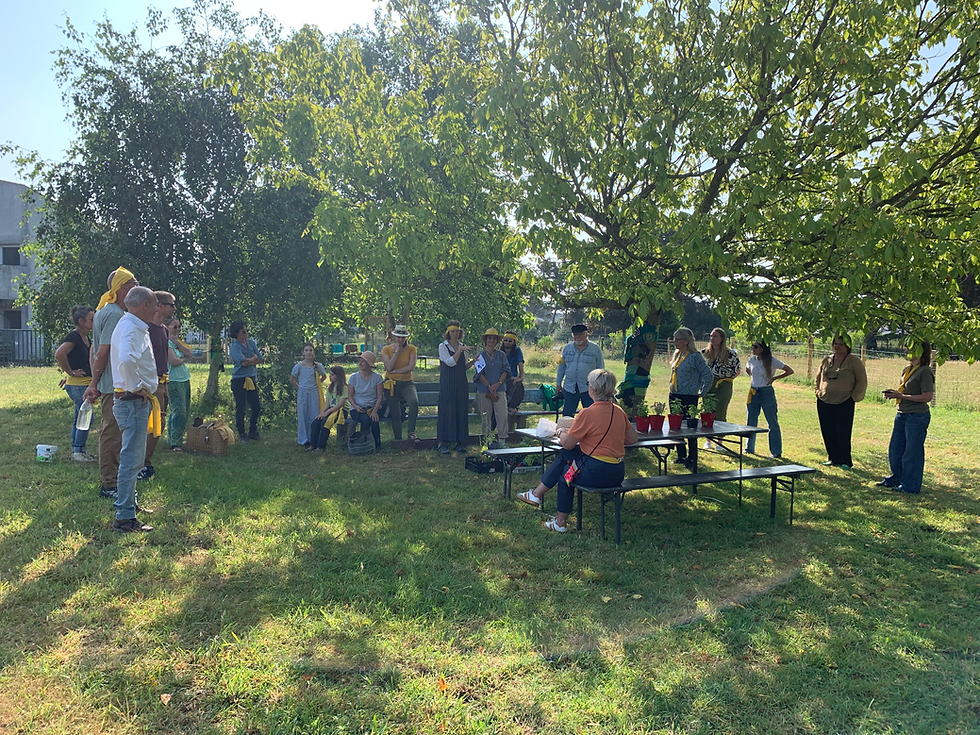 Yellow Team Sunshine du Jardin des Liens