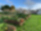 IMG_5649.jpeg