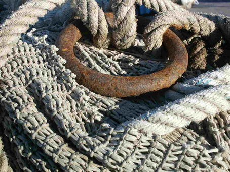 Des choix à assumer