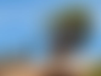 Regard vers le futur