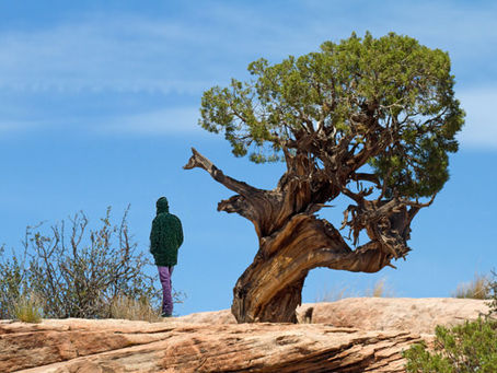 Regard vers le futur