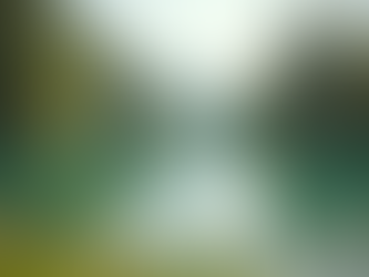 The Power of Mindfulness in Everyday Life