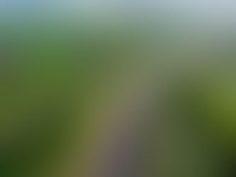 Scania México neutraliza su impacto ambiental