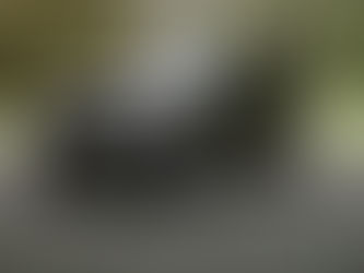 Nueva Lincoln Navigator domina el camino