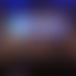 Los Jefes del MT México