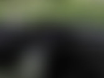 Tecnología Ride Command, innovación parapequeños y grandes aventureros