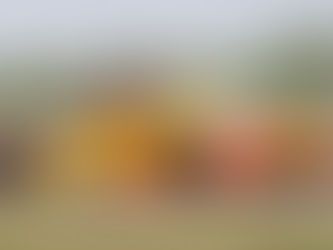 SPORT | Fernández, por el primer podio de la temporada