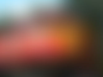 GRUPO MÉXICO ADQUIRIRÁ FLORIDA EAST COAST RAILWAY HOLDINGS CORPORATION