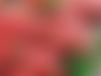 Mercado caprino con grandes oportunidad de crecimientos