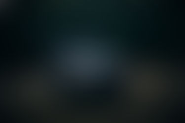 Nueva pickup T9 se une a la familia Frison