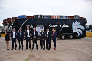 gallos2