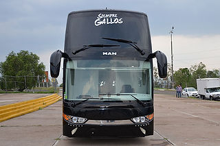 gallos5