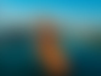 Trae Contecon Manzanillo las grúas STS más grandes de América