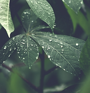 Design ohne Titel (3).png