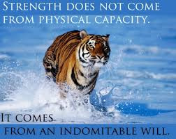 martial arts inner tiger