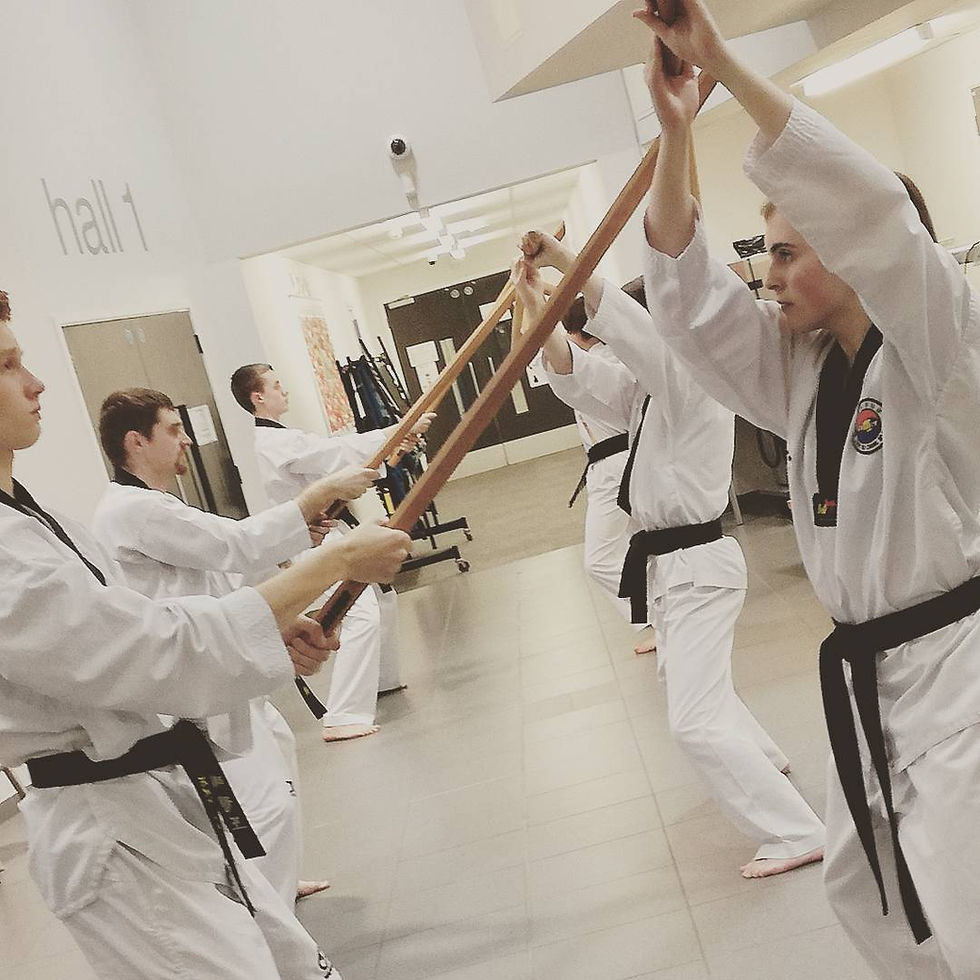 darlington martial arts sword training
