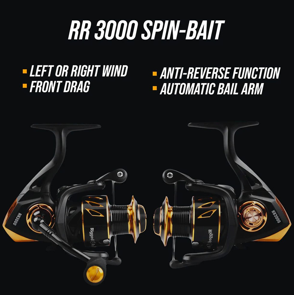 Thumbnail: RR3000 Spinning Reel