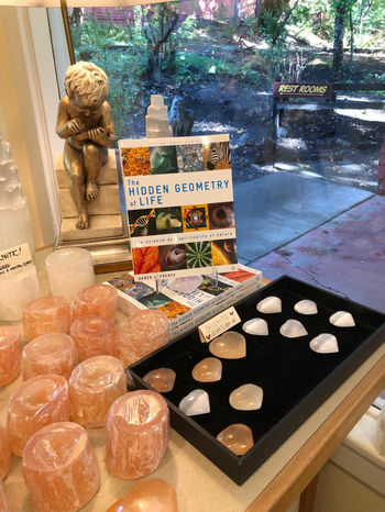 sacred geometry book in bookshop window