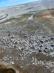 AeriealphotoofSite2.JPG
