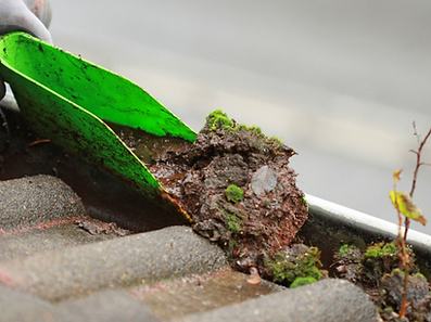 Gutter-Cleaning-Tools-scoop_edited_edited.png