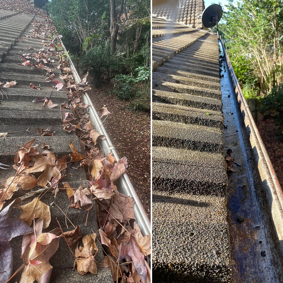 Gutters Still Overflowing After Cleaning? 7 Problems to Check