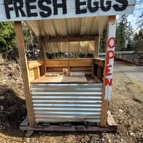 Fresh eggs at green roof ranch farm stand