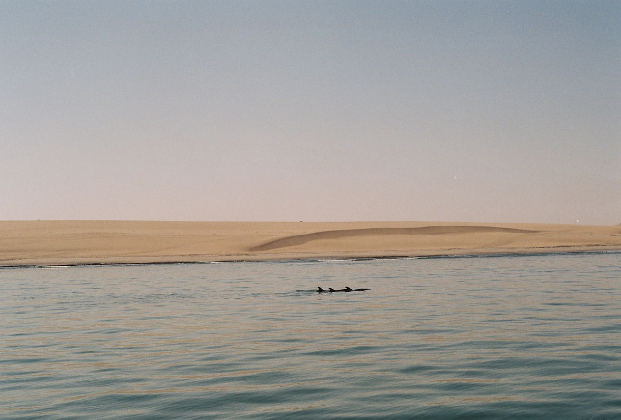 000029.JPG