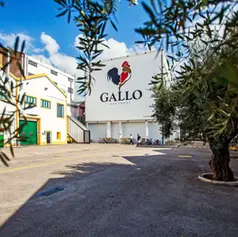DRAFT Caso de Estudo Gallo - Victor Guedes | LabWay-LIMS®