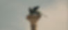 IMG_0327.jpeg