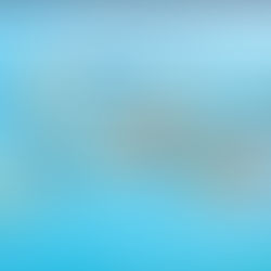 Canary islands- Things to know before you go