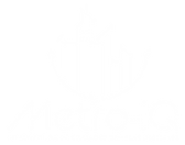 1. Metro IQ.png