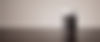 L3W Banner.jpeg