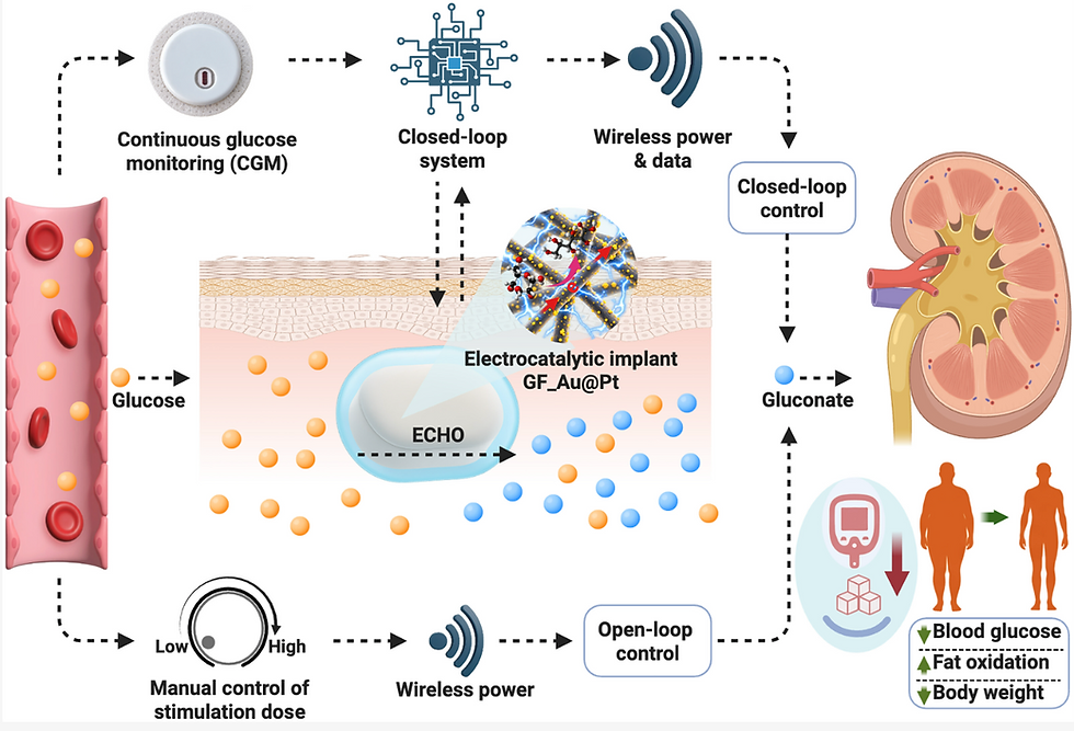 Wireless electrocatalytic control of diabesity.