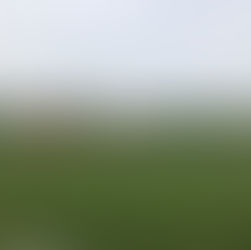 U16 - Bella partita con il Ballina Rugby Football Club; intensa e fisica la perdiamo per 35 a 20 (5 