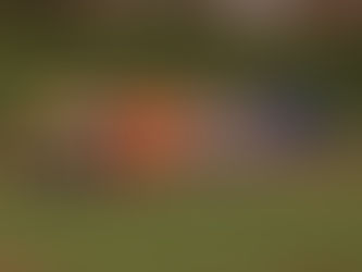 Rugby Malpensa > RVR