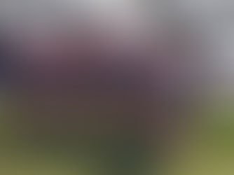 U16 - Gli appuntamenti con il Rugby Irlandese nella nostra trasferta a Galway ...in progress..