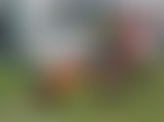 1a partita di campionato – Titans Valcavallina Rugby >< Rugby Delebio 100 – 0 (16 – 0)