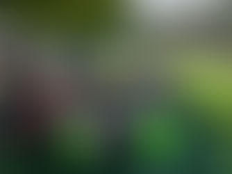 Allenamento estivo a Entratico per le formazioni giovanili U18, U16 e U14