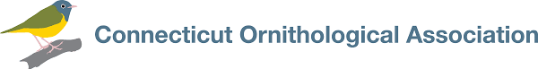 Ct O a.png
